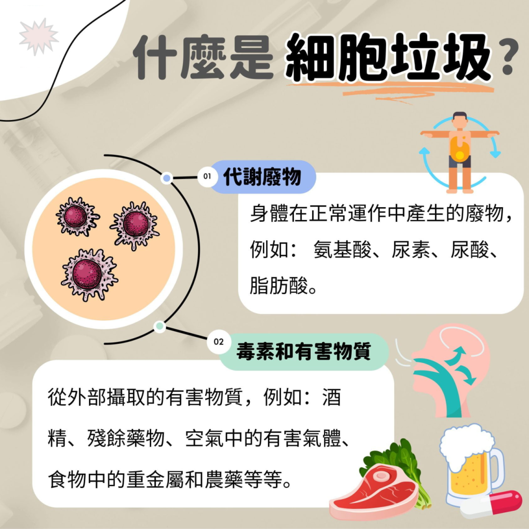如何掃走細胞垃圾｜甚麼是細胞垃圾｜淨化血液 - 大輪明日葉